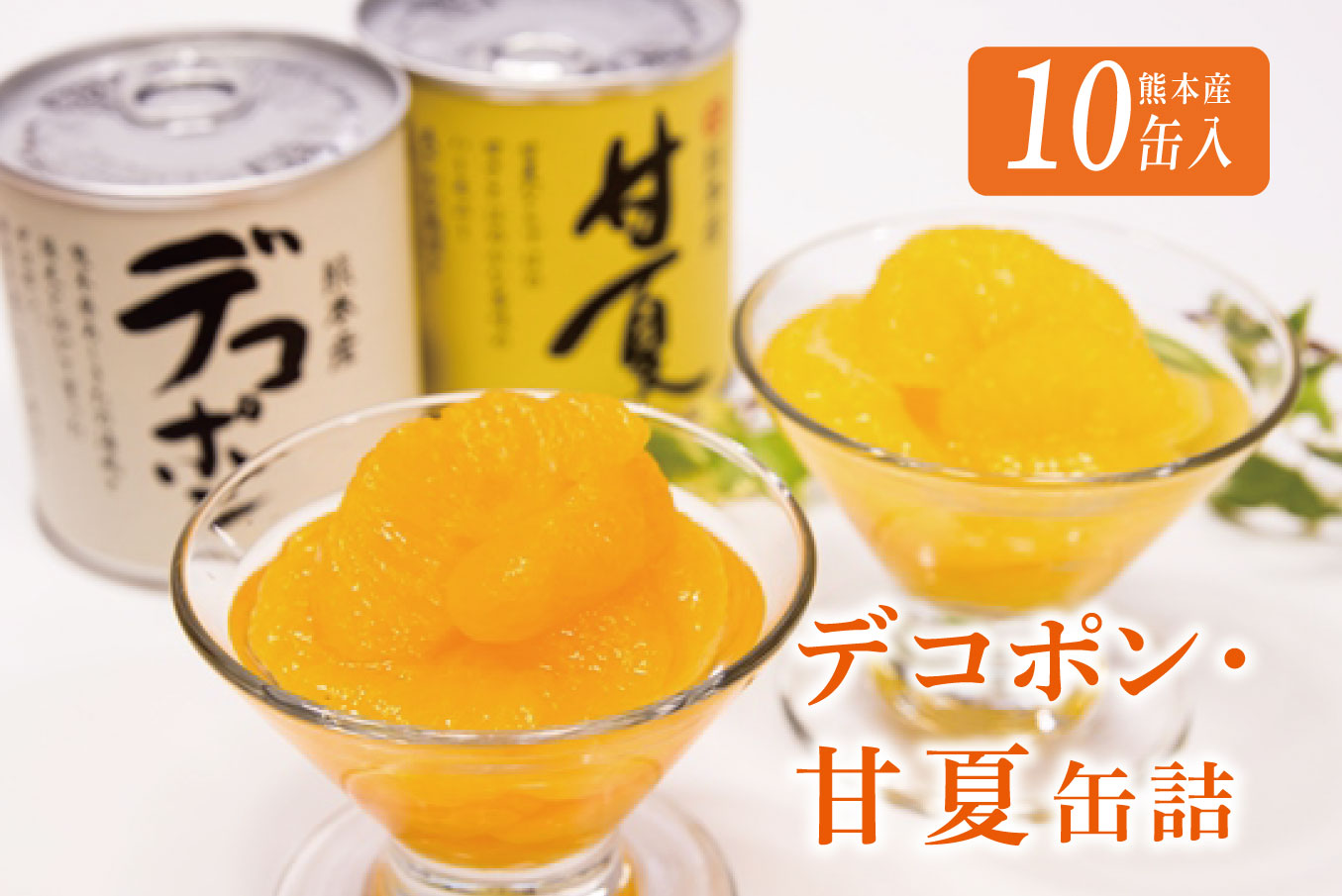 B10-14 デコポン・甘夏缶詰セット（10缶入）