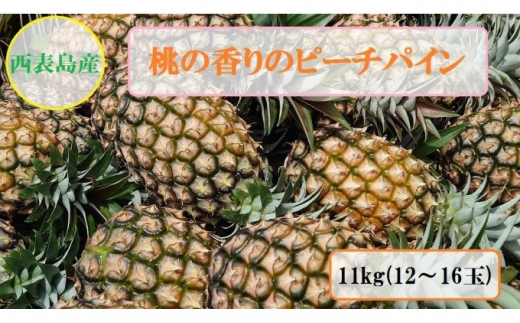 
2024年 先行予約 ピーチパイン 約11kg 12～16玉 桃の香り ますみ農園 パイン 果物 フルーツ
