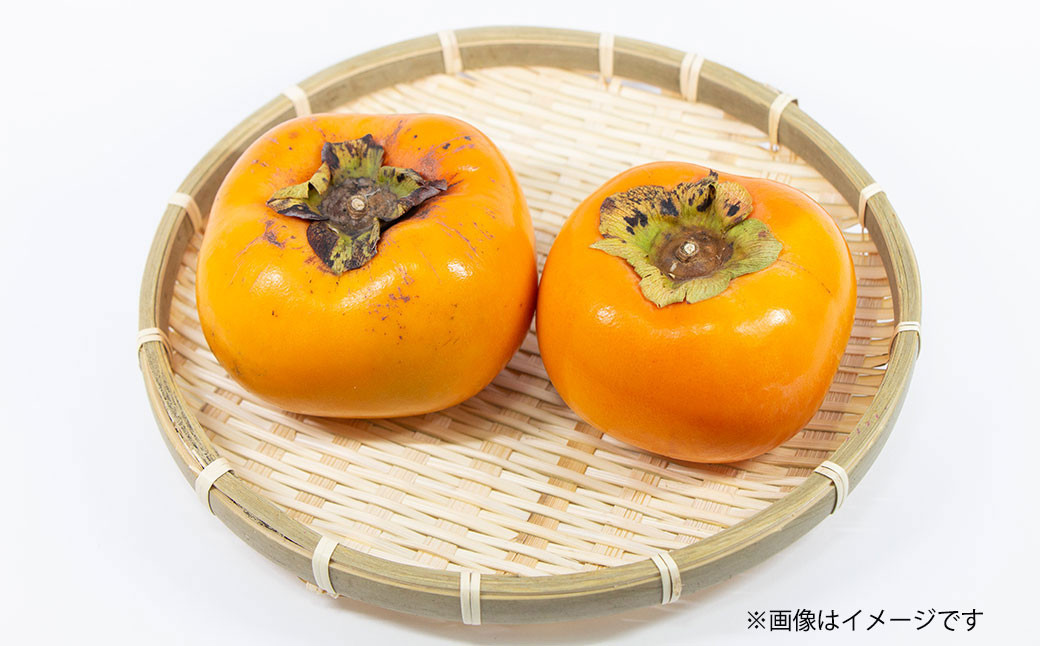 博多 秋王 8~12玉 柿 甘柿 福岡県産