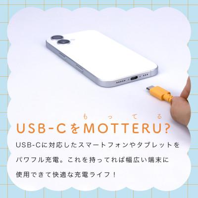 ふるさと納税 海老名市 バイカラーケーブル A to C 1m カプチーノ(MOT-BCECAC100-CA) |  | 03