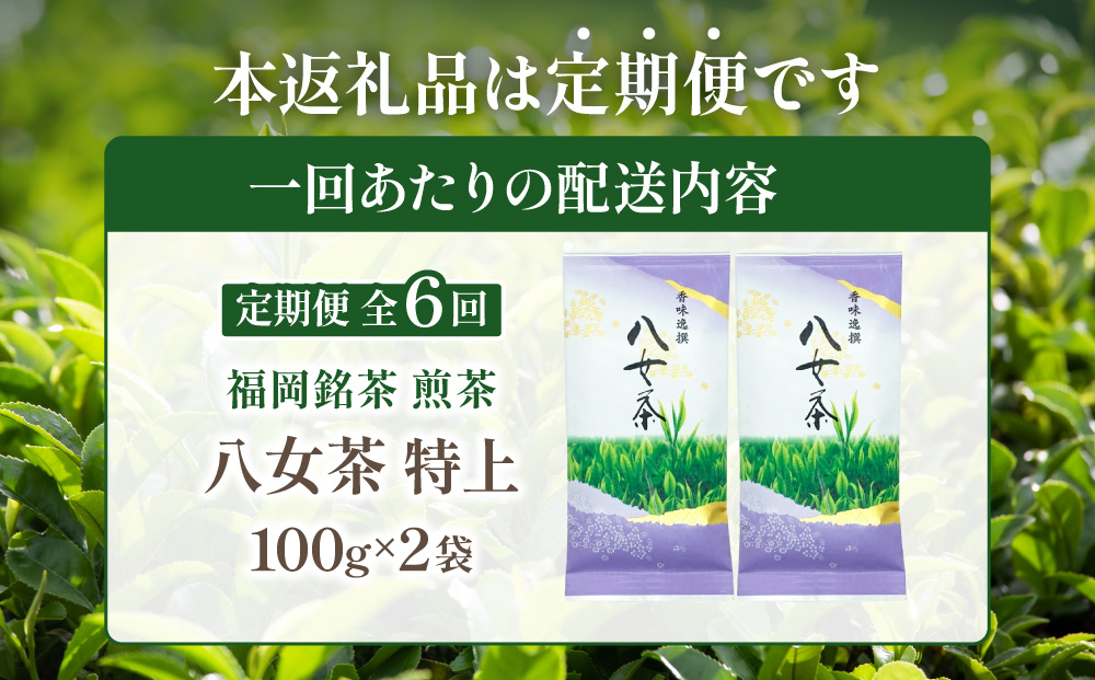 ＜定期便・全6回＞八女茶【特上】煎茶セット 100g×2袋