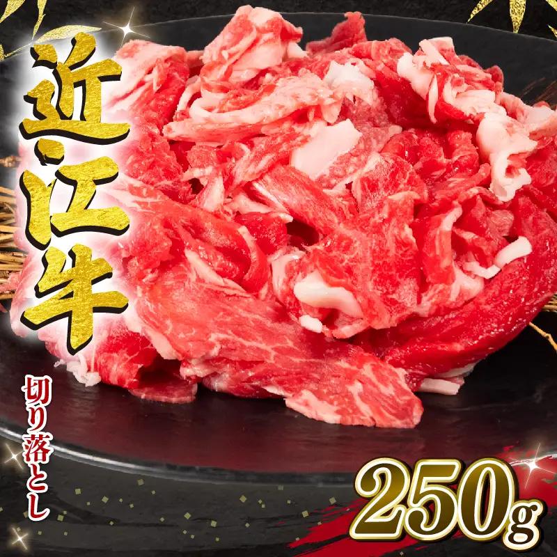 竜王町産近江牛 牛肉切落し 250g / 牛肉切り落とし[E501_N1_8] 8月発送