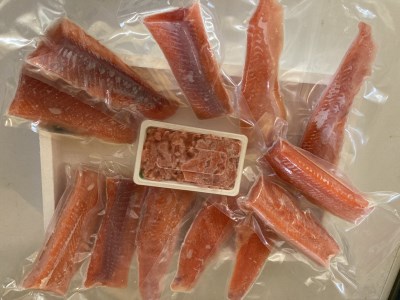 北海道 国産ドナルドサーモン(生食用) 中落ち付1800g 鮭 サーモン 人気サーモン サケ 国産サーモン 国産鮭 鮭 北海道サーモン