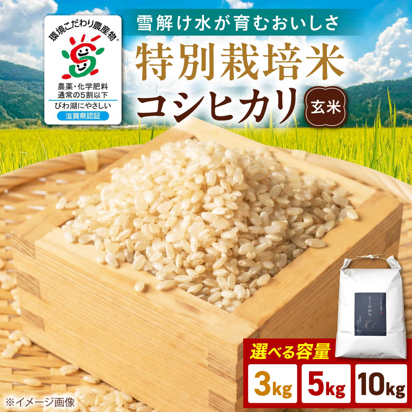 【ふるさと納税】【令和8年産 新米】特別栽培米コシヒカリ 選べる容量 3kg 5kg 10kg 玄米 滋賀県長浜市/くさおか農園[AQEB004] こしひかり 米 こめ コメ ごはん ゴハン 滋賀県 長浜市産 国産 環境こだわり米