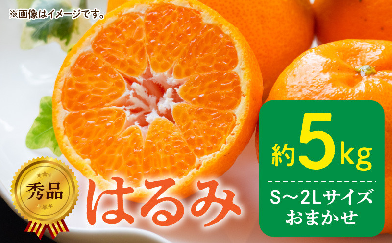 
                  【2027年先行予約】【ふるさと納税】秀品 はるみ 和歌山 有田 S～2Lサイズ 大きさお任せ 約5kg_DZ6108
                