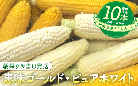 北海道産とうもろこし（恵味ゴールド5本・ピュアホワイト5本セット）
