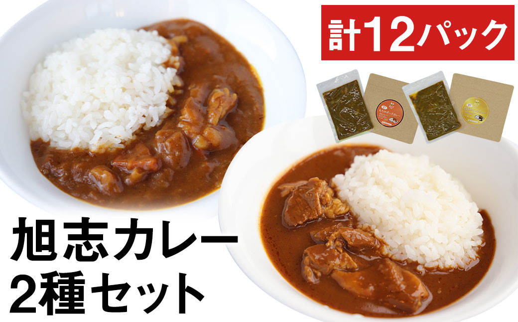 お肉の達人 旭志 カレーセットB 2種 計12パック（各200g×6パック）