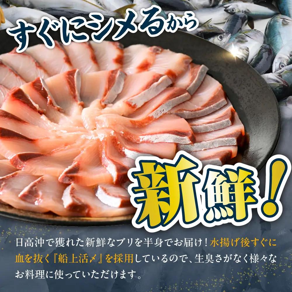 北海道 日高産 ぶり 半身800g以上