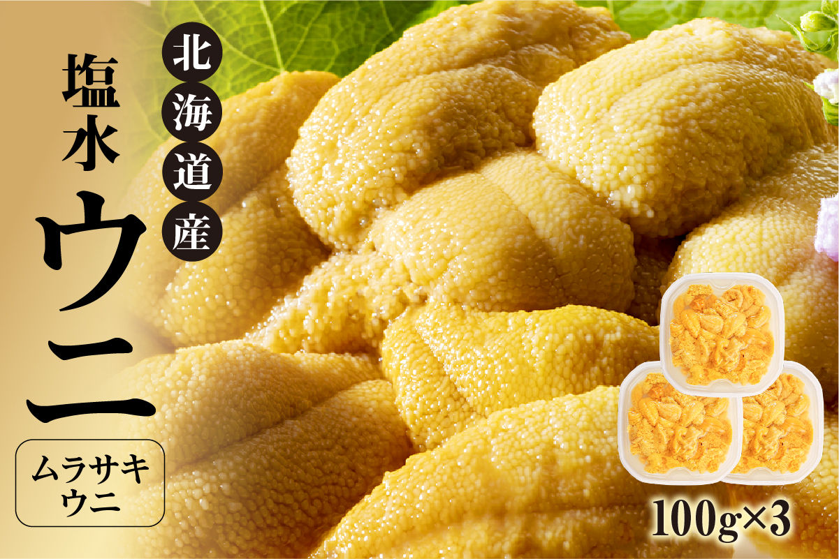 北海道産 世壱屋塩水ウニ(ムラサキウニ)300g_Y038-0144