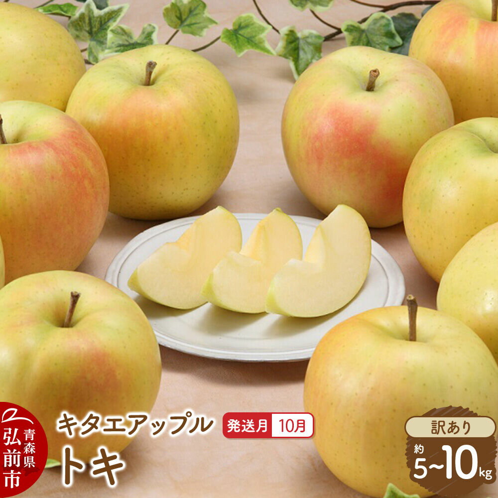 【ふるさと納税】りんご【26年10月発送】トキ【訳あり】【選べる約 5kg／10kg】キタエアップル 青森県 弘前市 [先行予約 トキ りんご 訳あり 家庭用 アップル おいしい 果実 果物 黄色 美味 林檎]