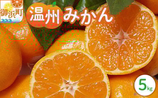 丸安青果の御浜温州みかん5キロ（家庭用) 【果物 フルーツ みかん 温州みかん 5kg 三重県 御浜町】