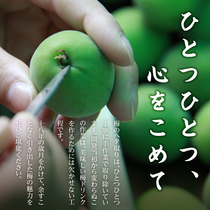 『長期熟成梅ドリンク 18years』 300ｍｌ 3本セット 国産梅 無添加 こだわり 飲料 18年以上 熟成 エキス 清涼飲料水 食前 シロップ アイスクリーム 七福醸造 H001-097