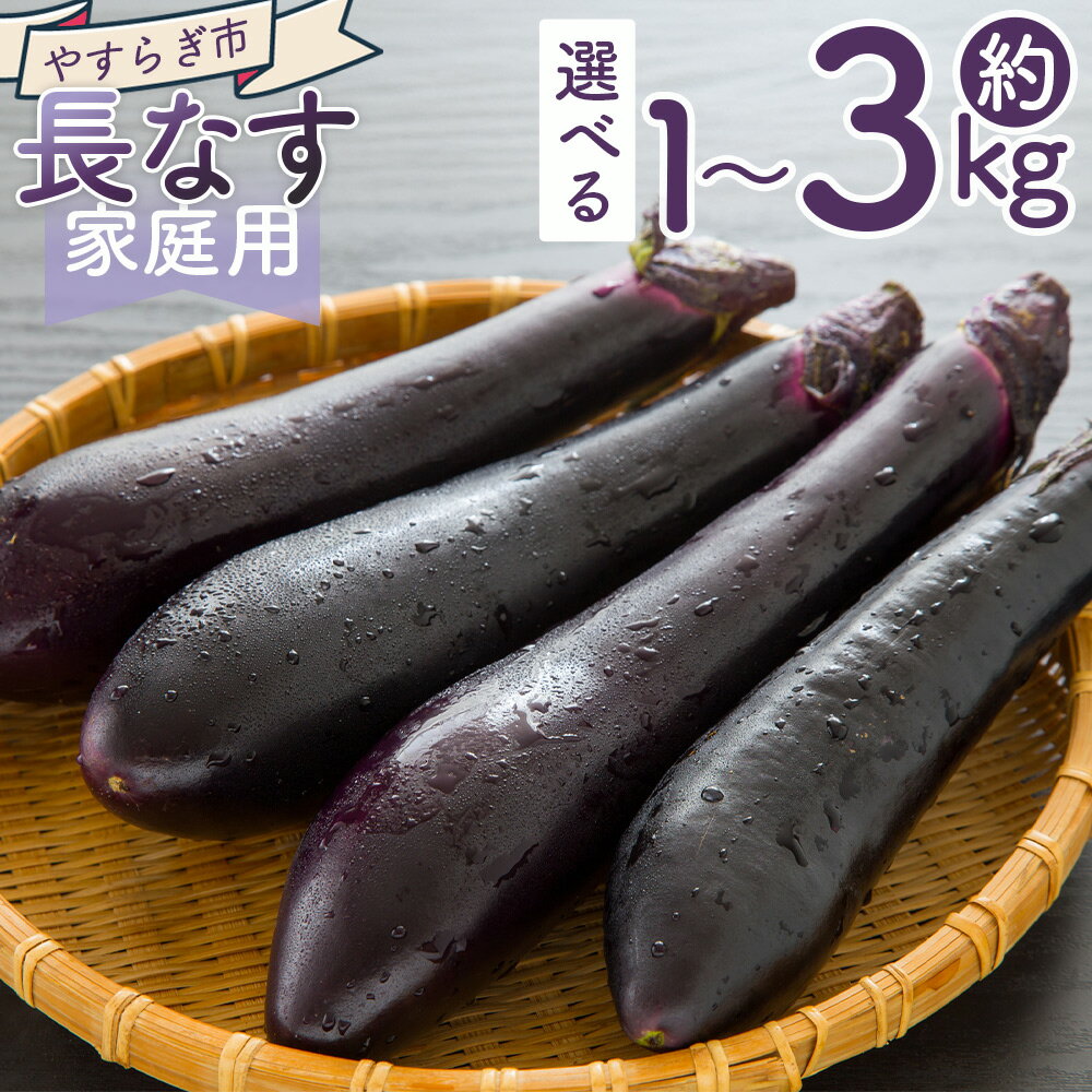 【ふるさと納税】【2025年10月中旬以降発送】【選べる数量】長なす (1kg/2kg/3kg) 家庭用 - 選べる 数量 国産 茄子 なすび 野菜 青果 肉厚 煮物 漬物 焼きなす 麻婆 訳あり ご家庭用 不揃い 傷 やすらぎ市 高知県 香南市【常温】 yr-0070
