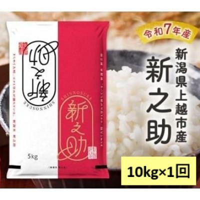 ふるさと納税 上越市 【10月中旬より順次出荷】令和7年産　新潟県上越市産　新之助　白米　10kg