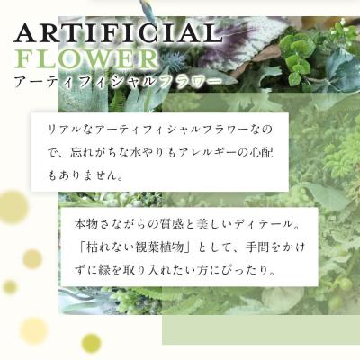 ふるさと納税 名古屋市 ナチュラル グリーンリース |  | 03