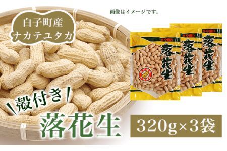 【先行予約10月下旬発送】白子町産ナカテユタカ 殻付き落花生 320g×3袋（A） SHJ001