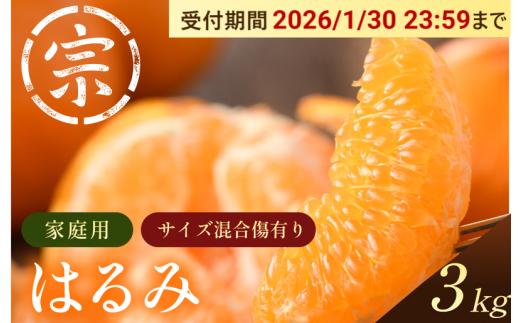 【先行予約】はるみ（家庭用）約3kg【K003580K3】