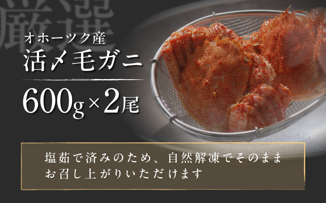 オホーツク産活〆毛ガニ 2尾（600g×2） ABAO2206