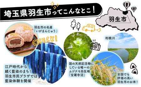 新米 精米 10kg 令和6年 彩のきずな 米10kg 米5kg × 2袋 国産 米 おこめ お米 白米 ご飯 ごはん ブランド米 ご飯 JAほくさい 送料無料 ふるさと納税 埼玉県 羽生市