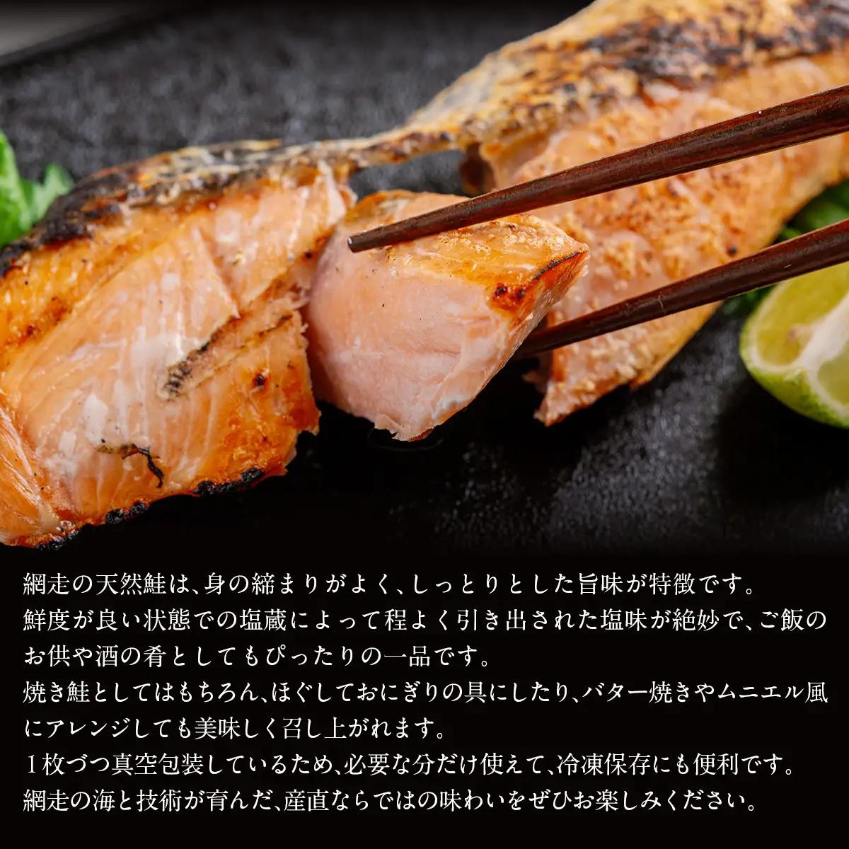 【訳あり】【無添加】北海道網走産天然鮭切り身 800g ABAE016 | 鮭