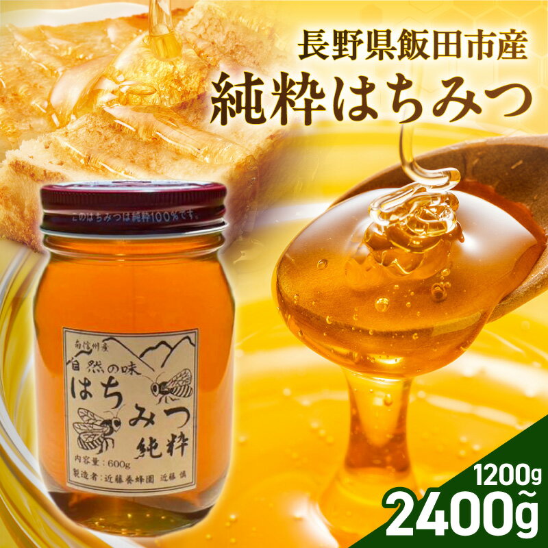 【ふるさと納税】純粋 蜂蜜【長野県飯田市産】選べる容量 | 蜂蜜 はちみつ 養蜂 長野県 飯田市 信州
