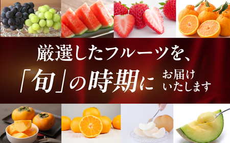 フルーツ定期便 6回 プレミアム 果物 どうまい