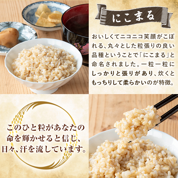 K-391-E 【3回定期便】＜令和7年産新米 先行予約受付中！2025年12月以降順次発送予定＞てまひま米・玄米(品種:にこまる)(計15kg：5kg×3回)【末蜜農園】霧島市 お米 玄米 米 こめ