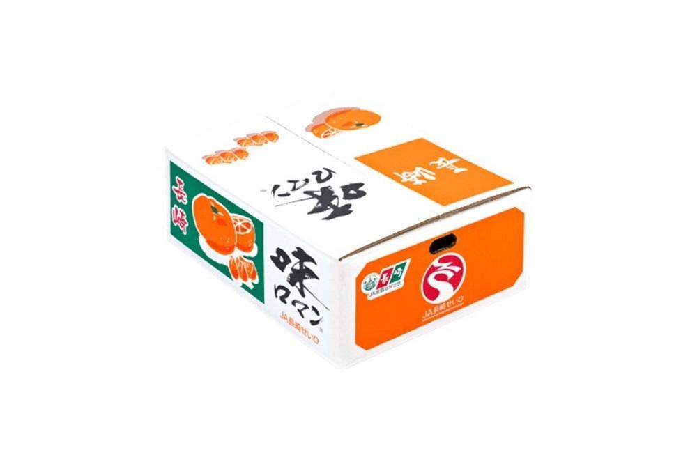 【糖度12度以上！】長崎県産 みかん 味ロマン 約5kg ＜期間限定／先行予約＞【2026年11月中旬以降順次発送】