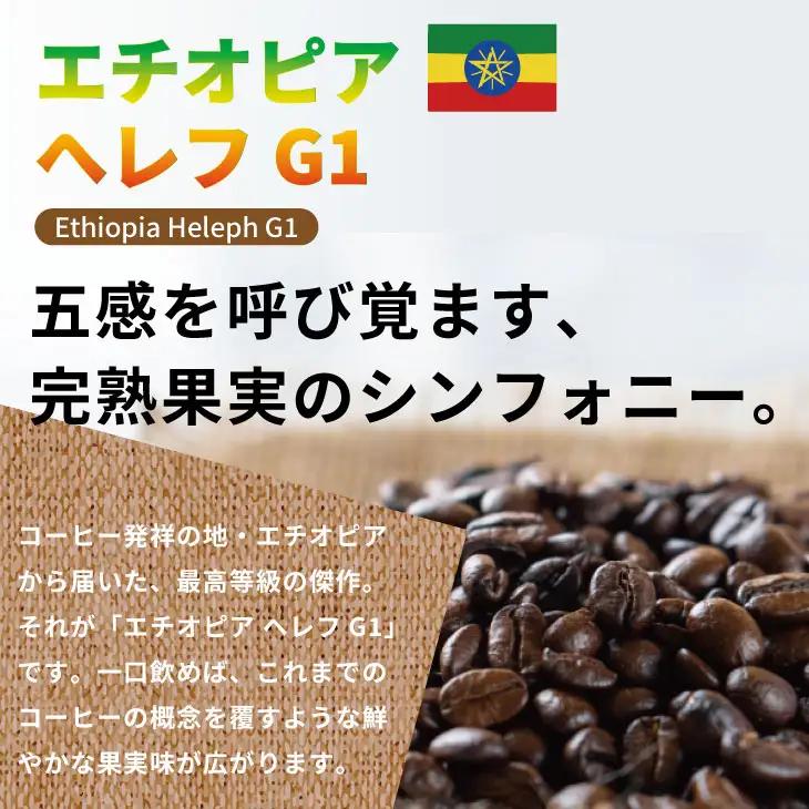 自家焙煎 コーヒー 豆 2種セット コロンビア×80g、エチオピア×80g （粉）コーヒー A060-018