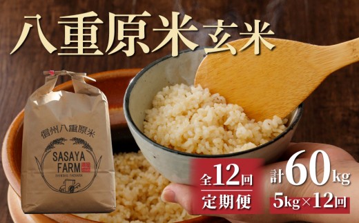 令和8年新米予約【12回定期便】八重原米5kg（5kg×1袋）玄米 ※2026年10月以降順次発送｜笹屋農園「農薬削減長野県認証取得」特A米 コシヒカリ