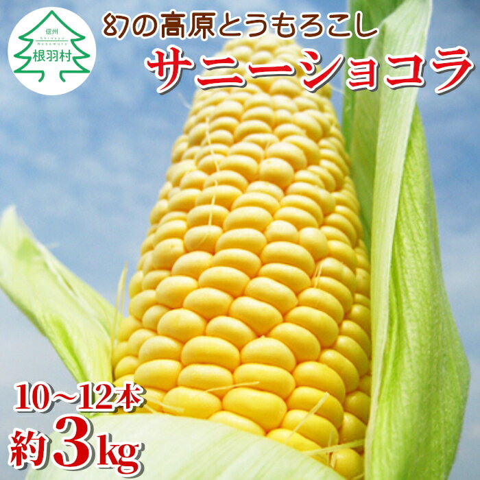 【ふるさと納税】※予約品※2026年7月中旬から8月上旬の収穫適宜発送★ 幻の高原とうもろこし サニーショコラ 約3kg（10本～12本入）限定 とうもろこし トウモロコシ 大人気 9000円 9,000円 令和8年度産 野菜