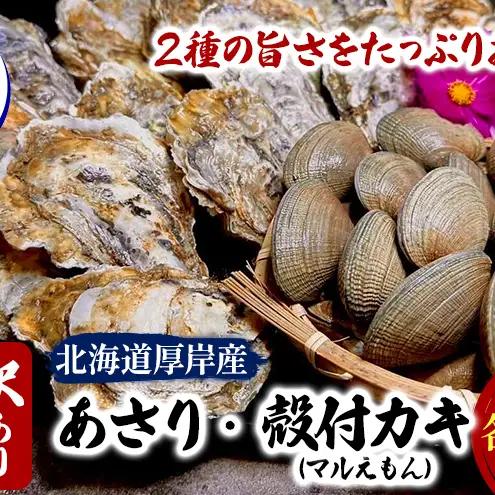 訳あり 厚岸産 あさり・牡蠣 各400g 砂抜き済み