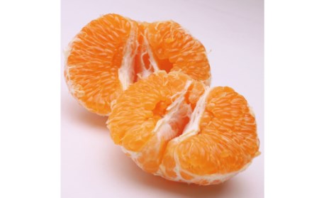 ＜先行予約＞厳選はるみ2kg+60g（傷み補償分）【デコポンの姉妹品種・新食感春みかん】【光センサー選別】※2024年2月上旬～3月下旬ごろ順次発送【ikd048B】