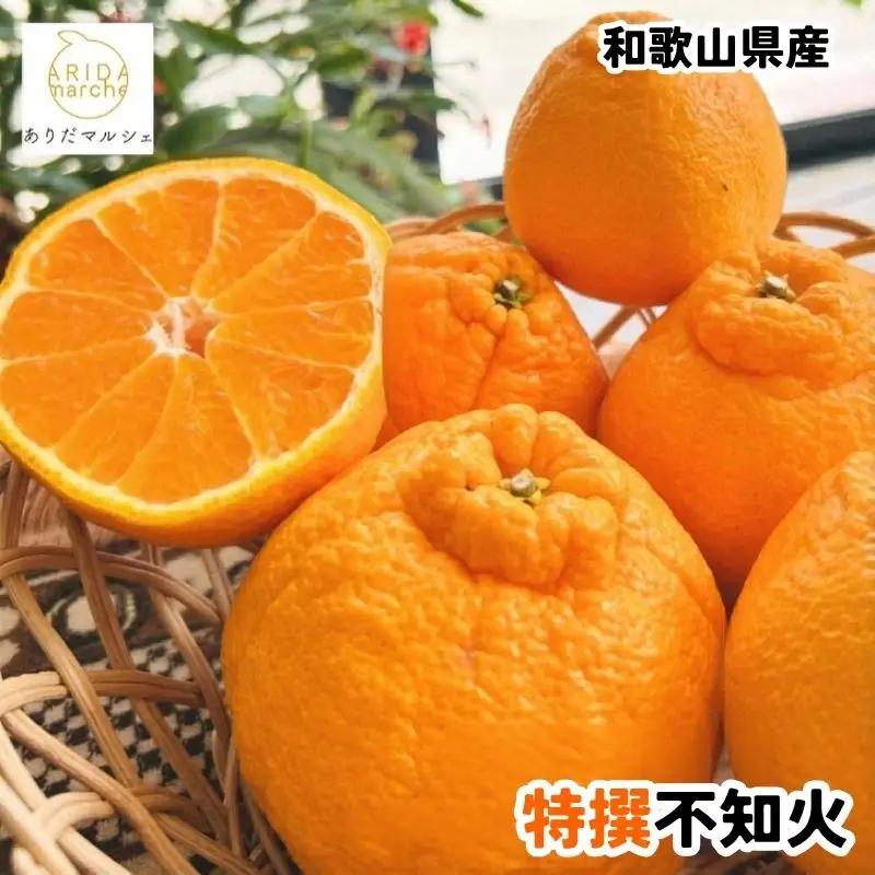 特選 濃厚 不知火 約1kg+200g(痛み補償分)【2027年1月下旬～3月下旬に順次発送】【AA-ard256】