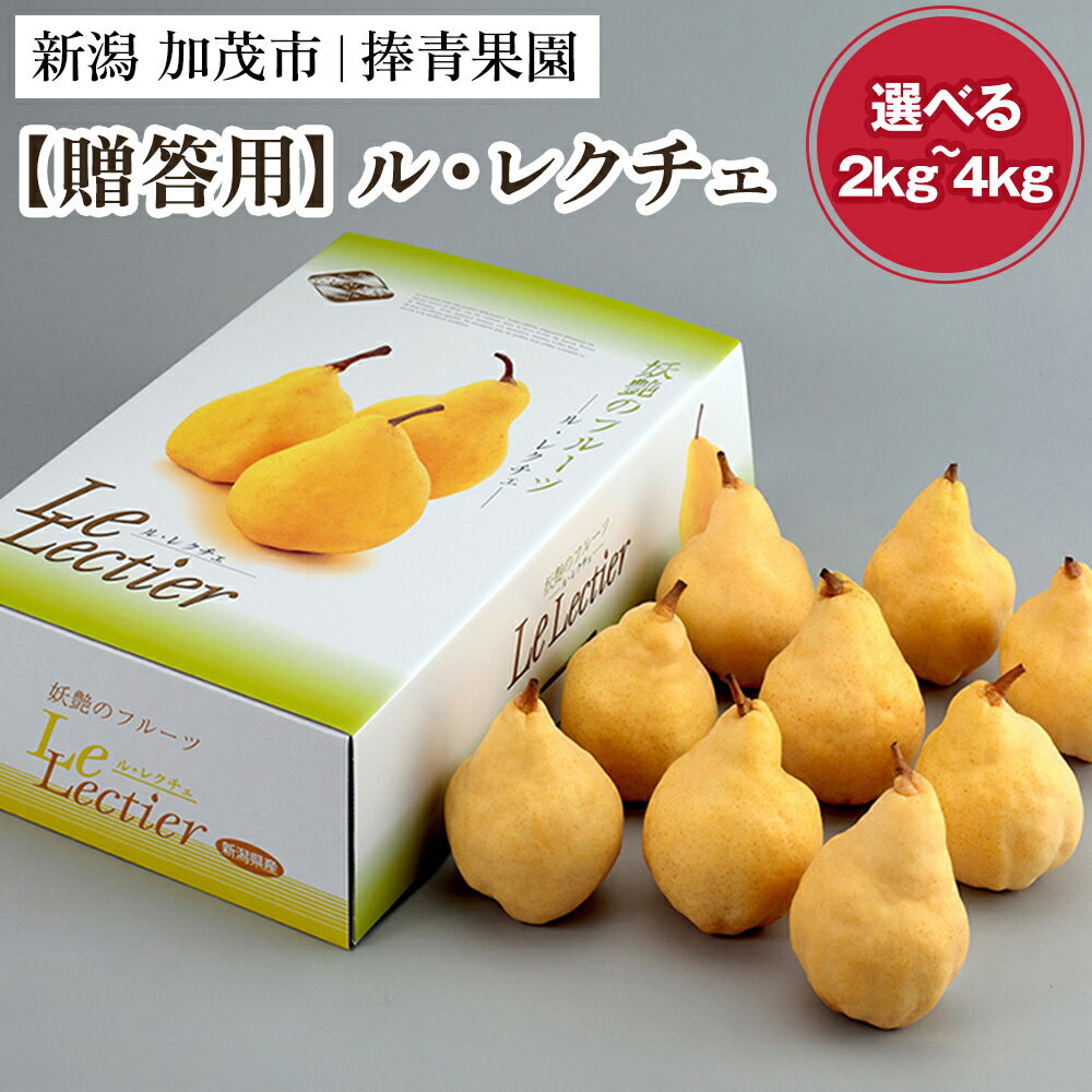 【ふるさと納税】【2025年先行予約】【贈答用】西洋梨 ル・レクチェ 約2〜4kg 《11月下旬以降発送》 ルレクチェ ル・レクチエ ルレクチエ 幻の西洋梨 果実 フルーツ 冬の味覚 加茂市 捧青果園