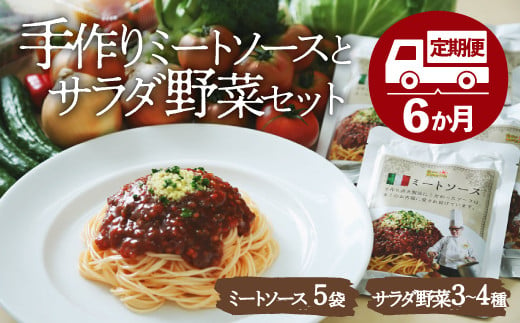 
【月に一度はパスタの日】手作りミートソースとサラダ野菜セット（半年パスポート）
