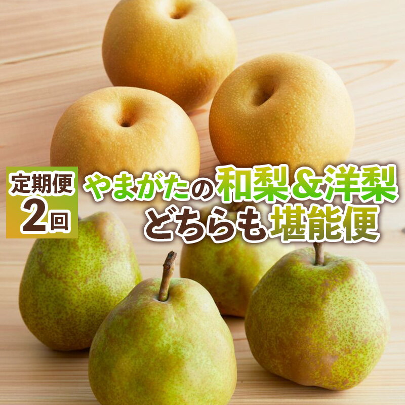 【ふるさと納税】【定期便2回】やまがたの和梨＆洋梨どちらも堪能便【令和8年産先行予約】FS25-138