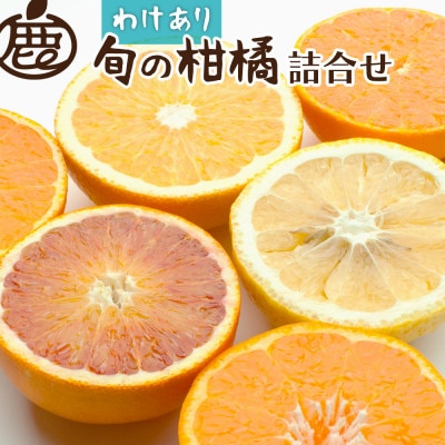 家庭用 柑橘詰合せ2.5kg+250g(傷み補償分)【訳あり】【フルーツ詰め合せ】【光センサー選別】【配送不可地域：離島・北海道・沖縄県】