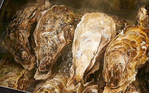 【2027年1月後半発送】牡蠣のガンガン焼きと海の幸 セット 〈殻付き牡蠣 / むき身牡蠣 / 牡蠣オイル漬け / 塩蔵わかめ〉【 牡蠣 かき 殻付き わかめ 詰め合わせ 人気 国産 三陸産 】 RT793