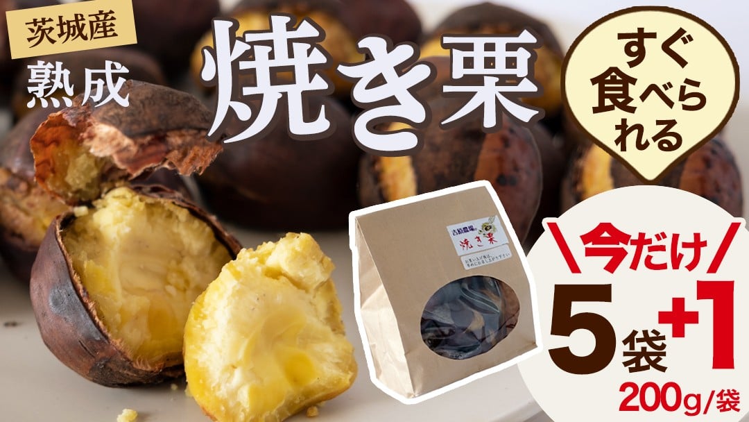 
            【 期間限定 +1袋 】 【 吉原農場 の 完熟栗 】 熟成 焼き栗 5袋 ⇒ 6袋 ( 1kg ⇒ 1.2kg ) 令和7年産 完熟 栗 くり クリ 栗ごはん 贈答 ギフト 果物 フルーツ 数量限定 旬  秋 冬 正月 おせち [CX001ci]
          