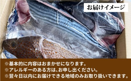 【全4回定期便】旬の地魚セット2-3人前（3枚卸し）真空パック 五島市/五島FF[PBJ001]  冷蔵 鮮魚 魚介 魚 鮮魚 魚 定期便
