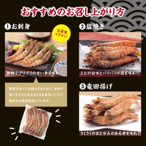 【1157】猛者海老１５匹×２パックセット(山根商店)