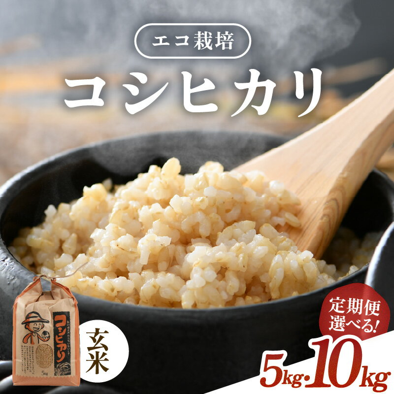 【ふるさと納税】【先行予約】【令和8年産 新米】エコ栽培 コシヒカリ 玄米 5kg 10kg（5kg×2） 定期便 3回 6回 12回 ／ 米 お米 5キロ 10キロ 鮮度抜群 福井県産 こしひかり ご飯 新鮮 玄米 ※2026年10月上旬以降順次発送