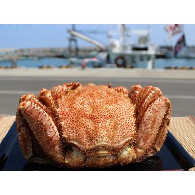 ふるさと納税 雄武町 【北海道雄武町産】毛がに900g前後×1(冷凍)【1231603】