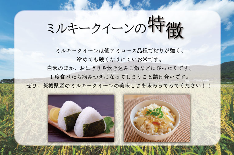 【数量限定】【9月下旬より順次発送】R8年産 ミルキークイーン 20kg(5kg×4袋)｜米 お米 白米 精米 R7年産 令和7年産 ミルキークイーン 茨城県 茨城県産 行方市(HA-17)