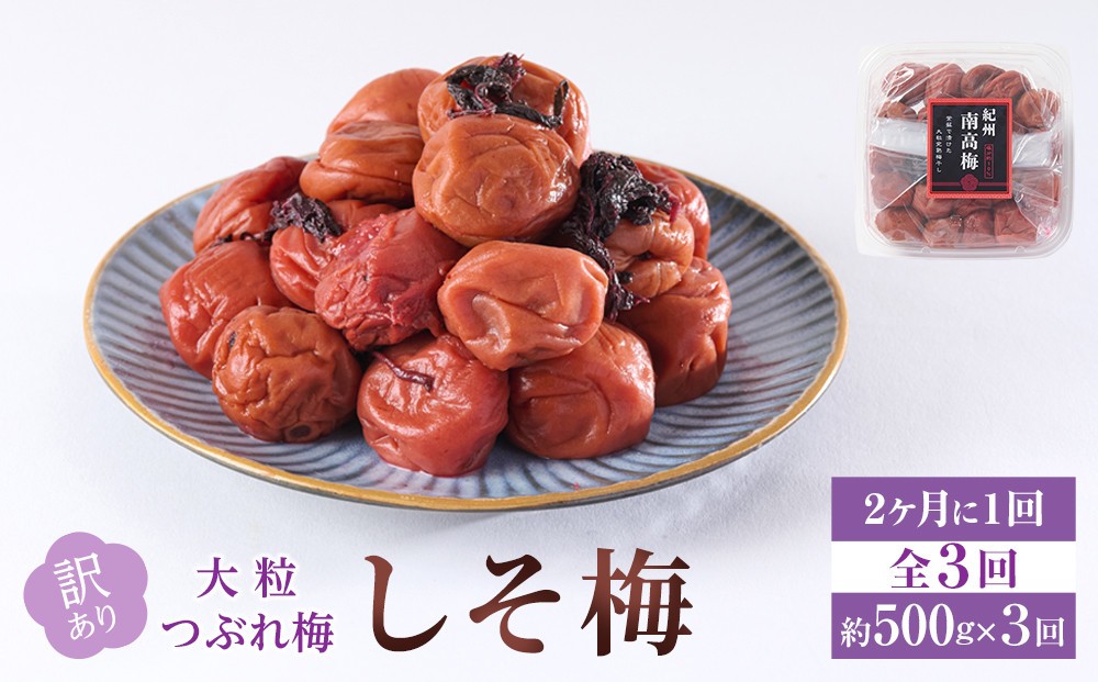 
            訳あり 梅干し 大粒 大玉 つぶれ梅 しそ梅 約500g × 3回 塩分10％ [ 定期便 2か月に１回発送・全3回 ]
          