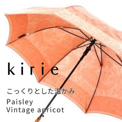 ふるさと納税 都留市 創業150年以上の傘専門店が作る【婦人長傘】橙系・軽やかさと優雅さを兼ね備えた晴雨兼用傘 |  | 01