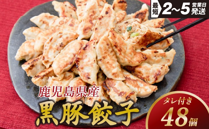 
                  黒豚 冷凍餃子 48個 / 餃子 ぎょうざ ギョーザ 焼き餃子 焼餃子 惣菜 お弁当 おかず 晩ご飯 食品 加工品 大阪府 豊中市 人気ラーメン店 げんこつ【gnkt0001】
                