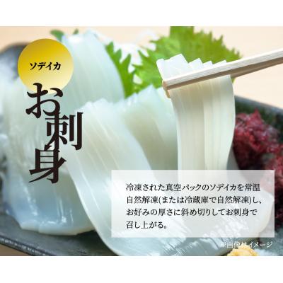 ふるさと納税 和泊町 【サイズ不揃い】ソデイカ・刺身用ブロック　1キロ/沖永良部島特産 |  | 02