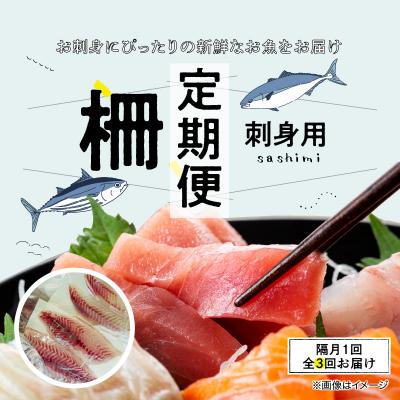 ふるさと納税 天草市 指定日必須【隔月　3回お届け】お刺身用柵定期便_S121-T04